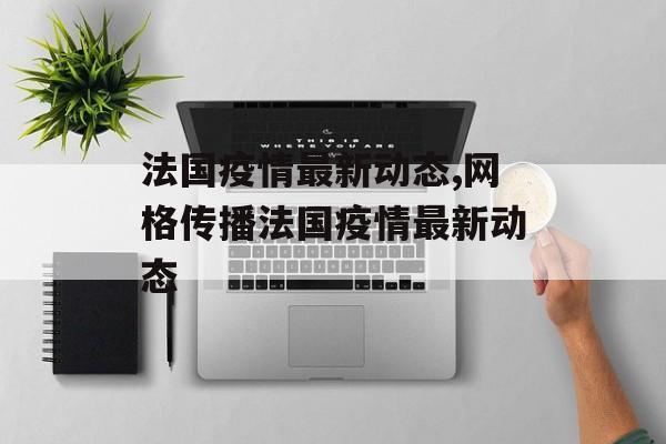 法国疫情最新动态,网格传播法国疫情最新动态